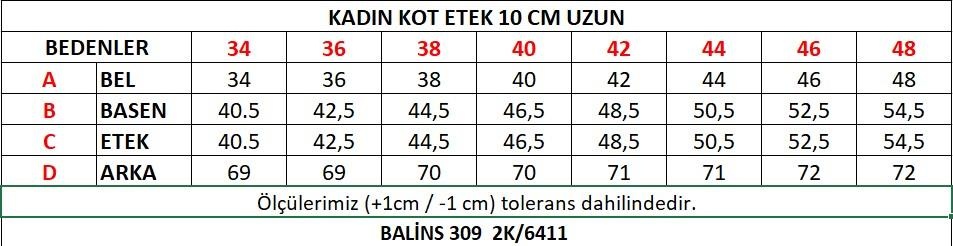 BALİNS 309.jpg (65 KB)